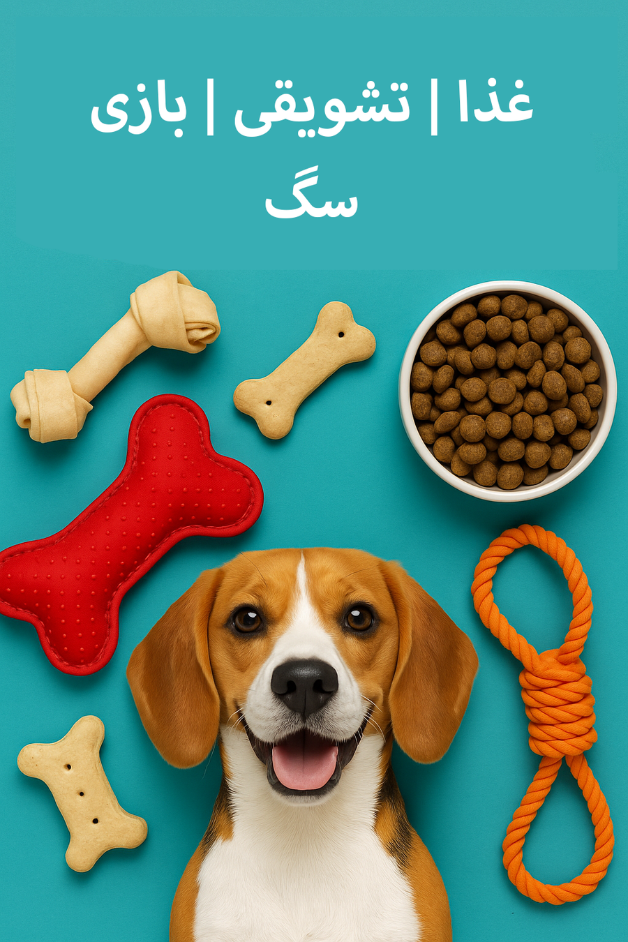 پت شاپ لیداس غذا تشویقی بازی سگ قیمت خرید