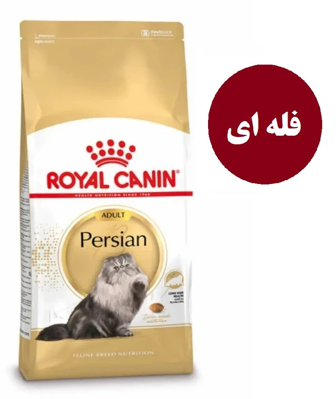 رویال کنین پرشین بالغ