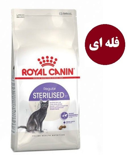 رویال کنین گربه عقیم شده استرالایز