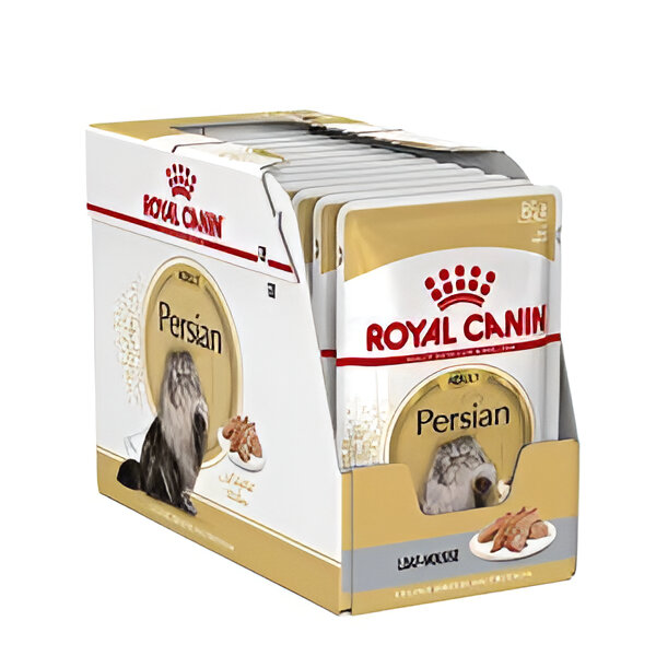 پوچ رویال کنین پرشین بالغ