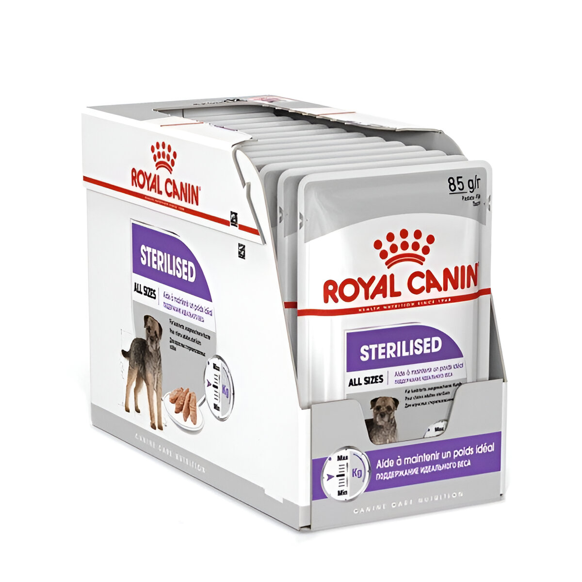 پوچ رویال کنین سگ عقیم شده