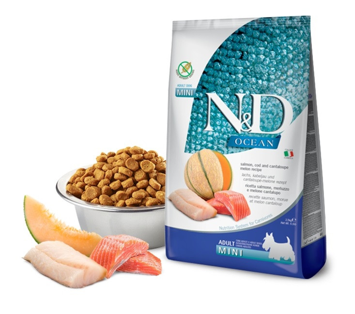 غذای خشک سگ با طعم ماهی