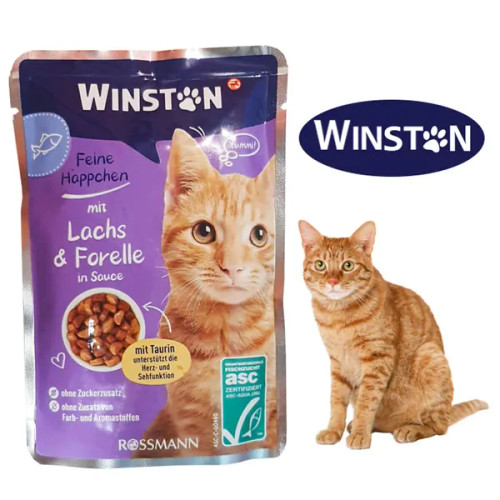 پوچ وینستون گربه طعم ماهی