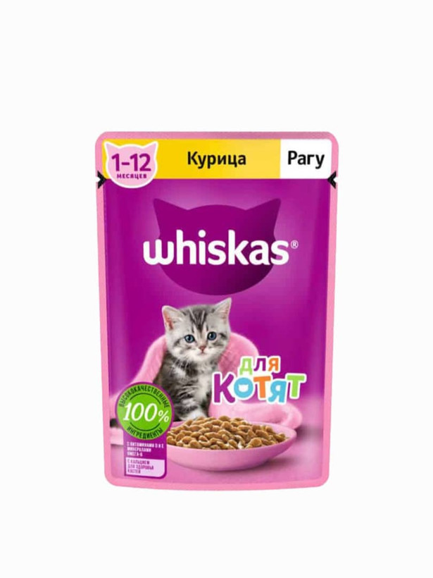 پوچ بچه گربه ویسکاس کیتن