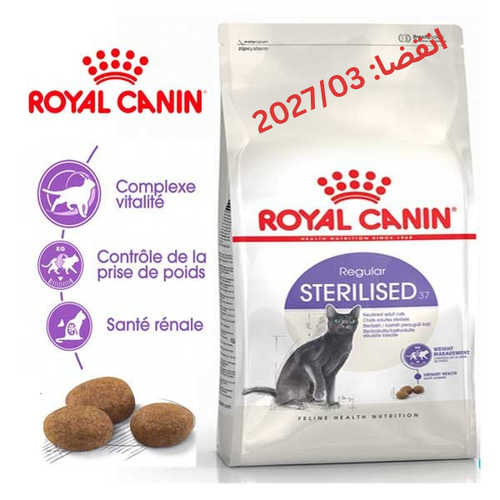 رویال کنین گربه عقیم شده