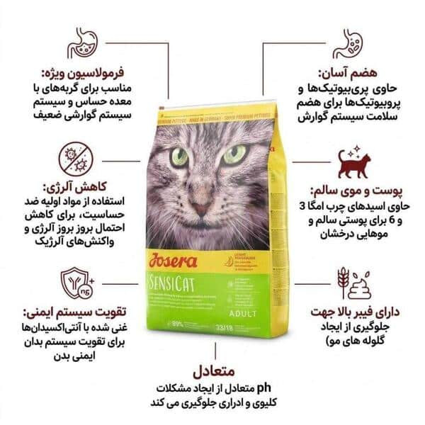 سنسی کت گربه
