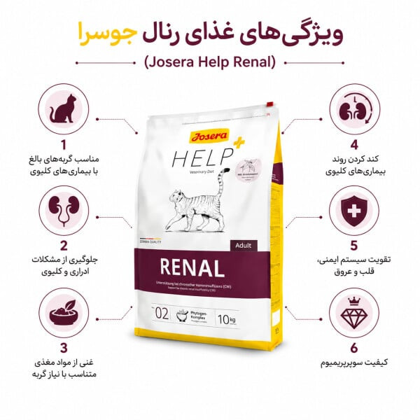 غذای رنال گربه